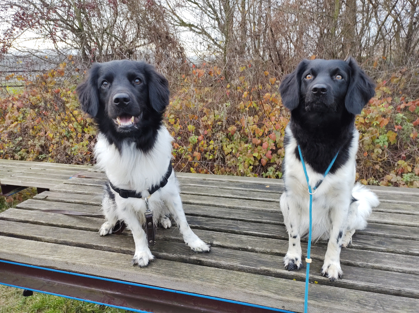 Katta qiz bilan jinsiy aloqa